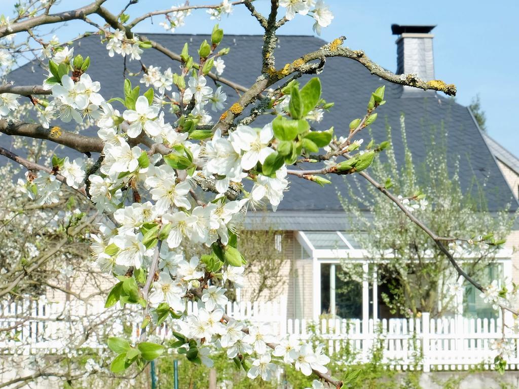 Villa Orchard Frankfurt Kriftel Экстерьер фото